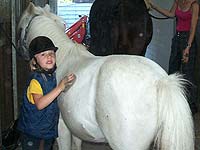 Mdchen striegelt Pony